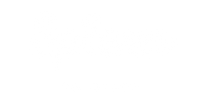 Spleen